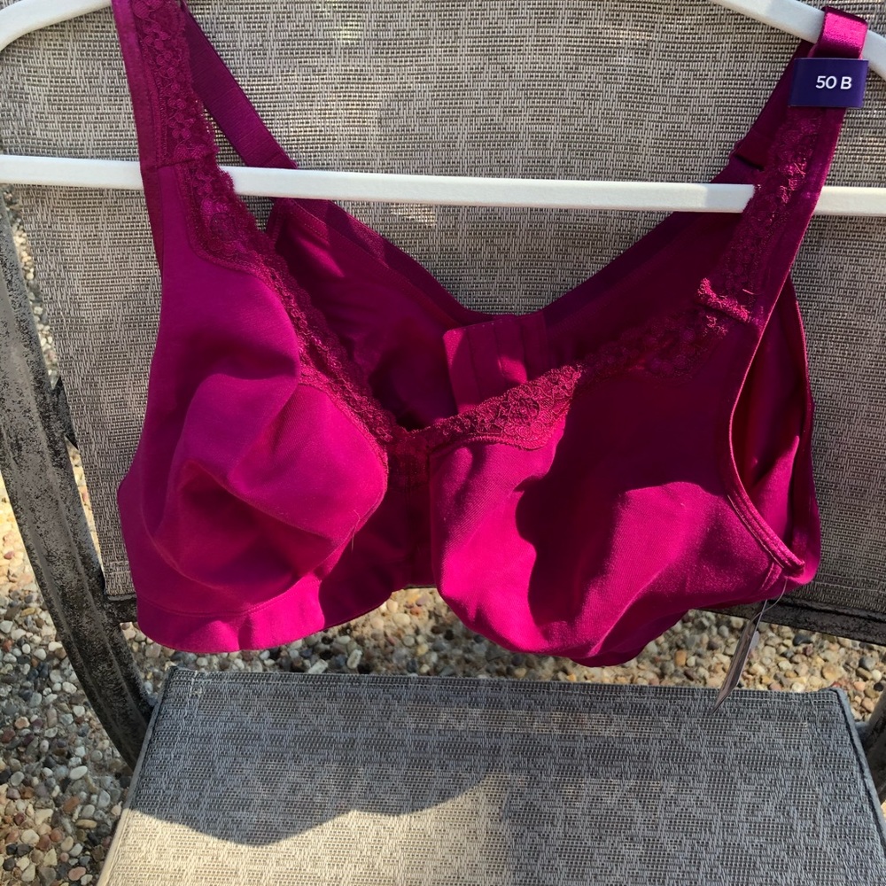 NWT -Fuchsia Bra - 50B